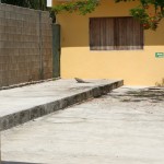 Montessori Courtyard with Iguana