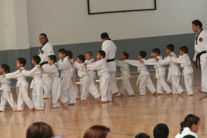 TaeKwonDo exam 1975