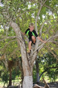 Evan up a tree of course!