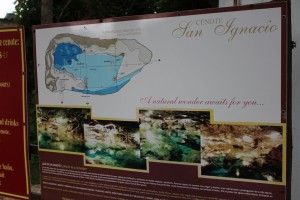 Image of the actual cenote