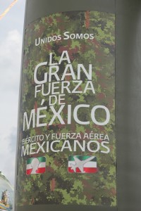 Gran Fuerza de Mexico 30