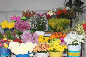 dia de muertos merida 27