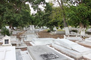 dia de muertos merida 32