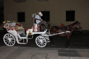 dia de muertos merida 46