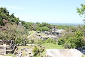 Palenque Trip Day 3  1374