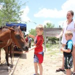 Evan feeding manzana to horse